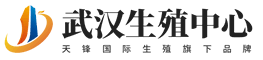 武汉国际试管生殖中心