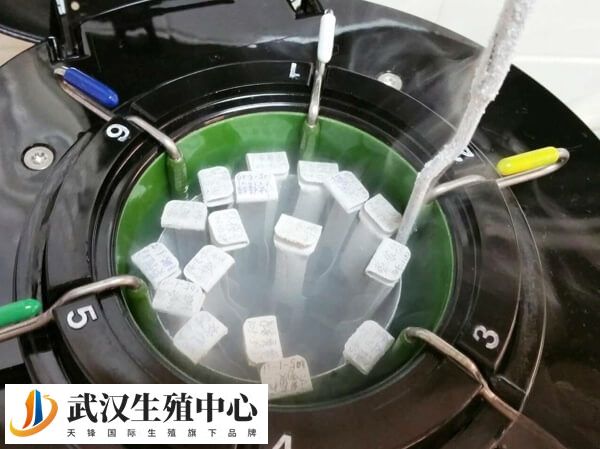冷冻胚胎不续费会怎么处理