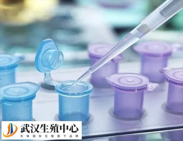 武汉三代试管婴儿医院排名，附试管费用成功率一览