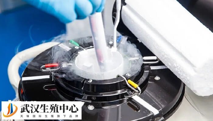 冻胚移植前需要准备什么