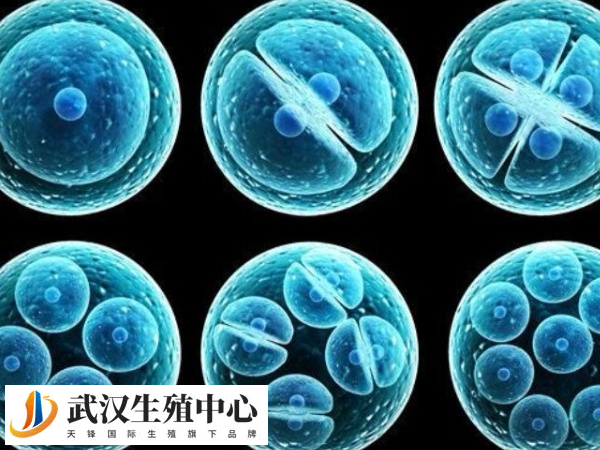 实施人授后屁股疼的原因