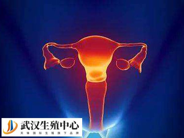 屁股塞药能预防卵巢过度刺激