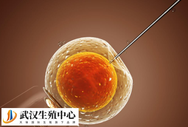 自然周期移植日月经第23天正常不