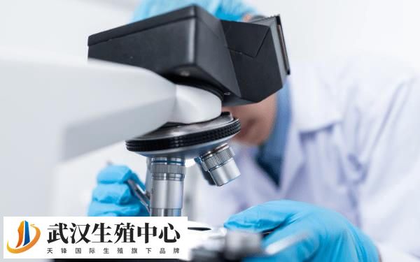 三代试管囊坯筛查有没有风险