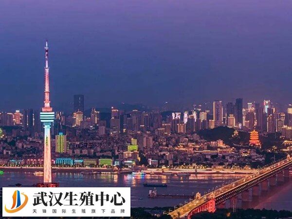 武汉有13家医院开展了辅助生殖技术