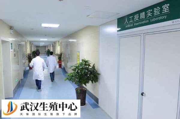 影响试管成功率的因素有很多