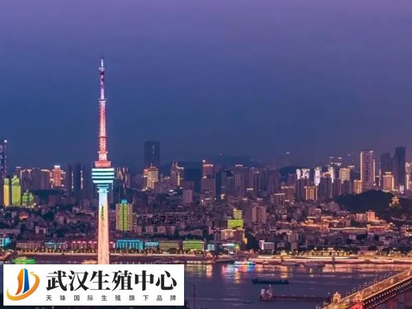 在武汉私立生殖医院做一代试管婴儿移植费用多少？