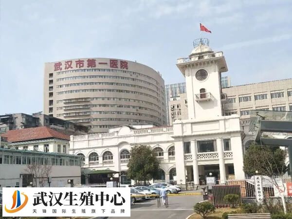 武汉市第一医院一代试管婴儿单周期费用多少？