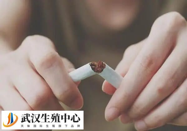 男性排精前避免饮酒和吸烟