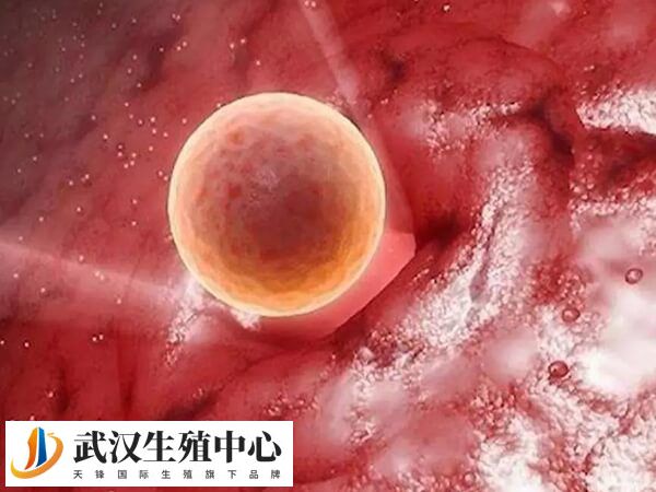 做试管婴儿能不能顺产