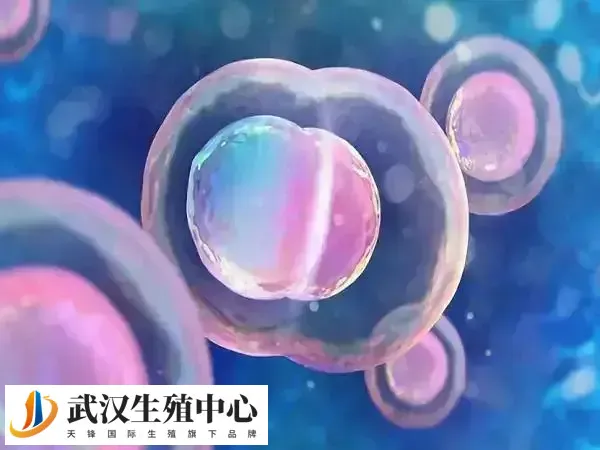 高龄试管婴儿成功率低