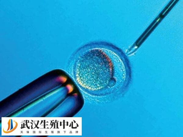 40岁生三胎的真实感受是怎样的