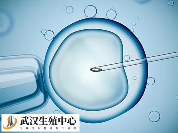试管婴儿—代转二代的利弊有哪些？能提高受精成功率吗？