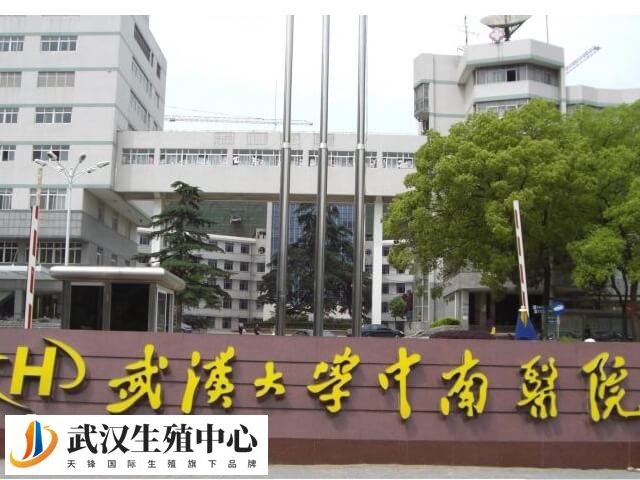 武汉大学中南医院生殖中心做试管婴儿的流程是怎么样的？