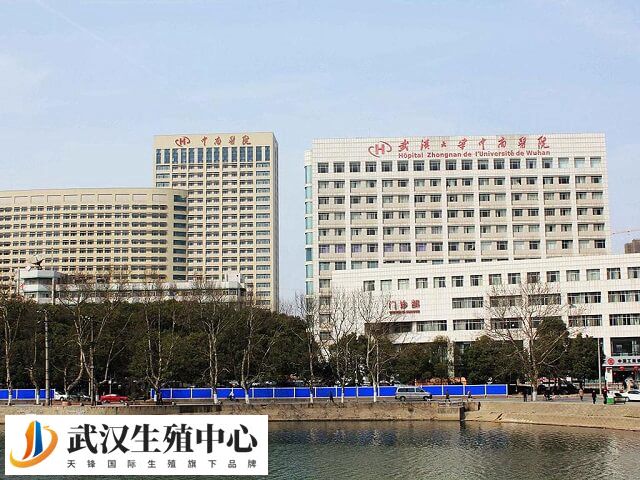 武汉大学中南医院生殖医学中心哪个医生做试管婴儿好？