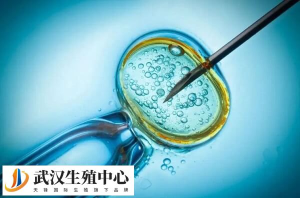 试管婴儿智商是不是比正常孩子低