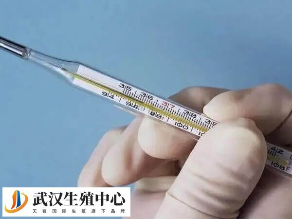 体温上升是哺乳期怀孕的症状之一