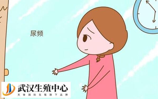 尿频是哺乳期怀孕的症状之一