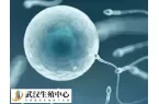 试管婴儿孕四月胎停育的原因是什么